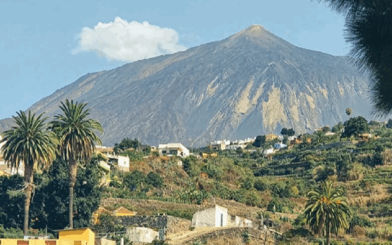 Revelia Recovery Center