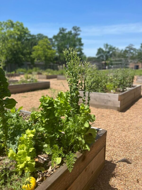 Positive Recovery Center Hill Country