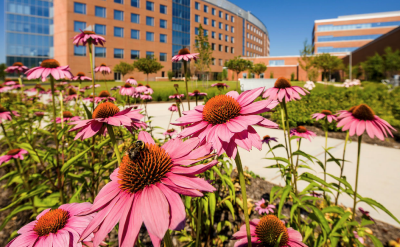 Princeton Center for Eating Disorders