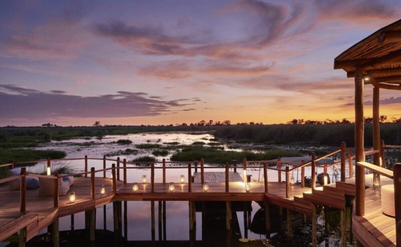 Rebirth Wellness Safari