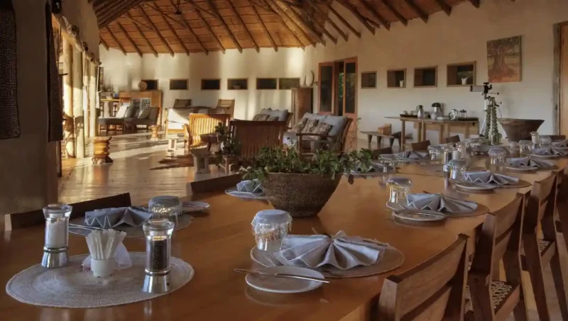 Rebirth Wellness Safari