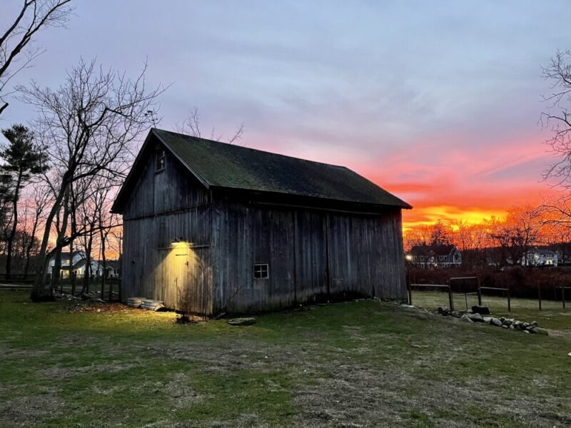 Recovery at WildWood Farm