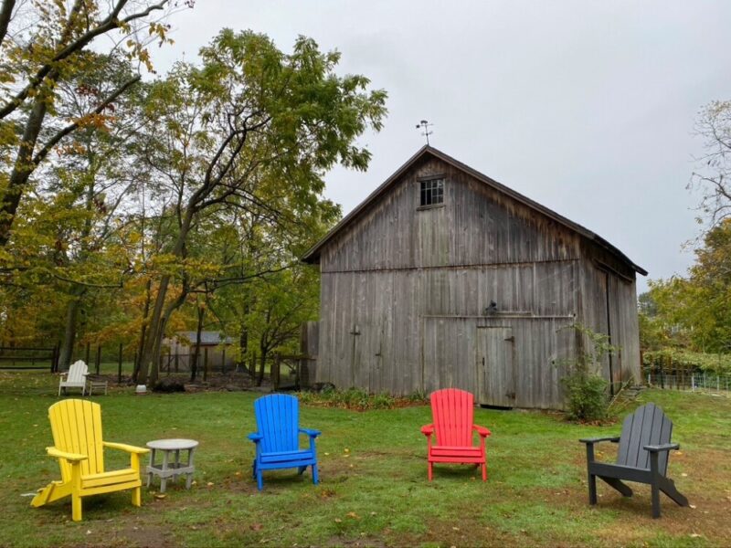 Recovery at WildWood Farm