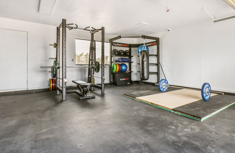 Recovery Revelations