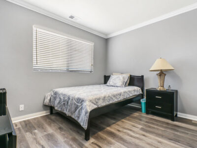 Recovery Revelations