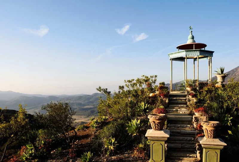 ReWild Medicine Retreat