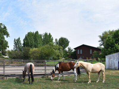 Rocky Mountain Treatment Center