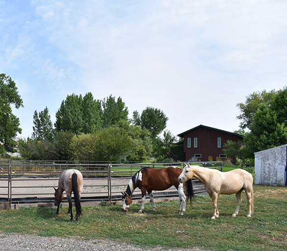 Rocky Mountain Treatment Center