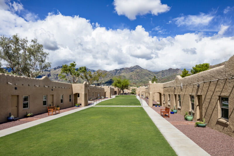 Sabino Recovery
