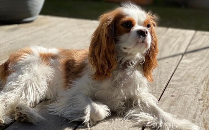 Tarzana Recovery Center