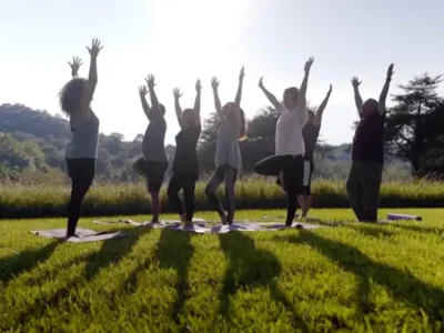 The Bridge to Recovery