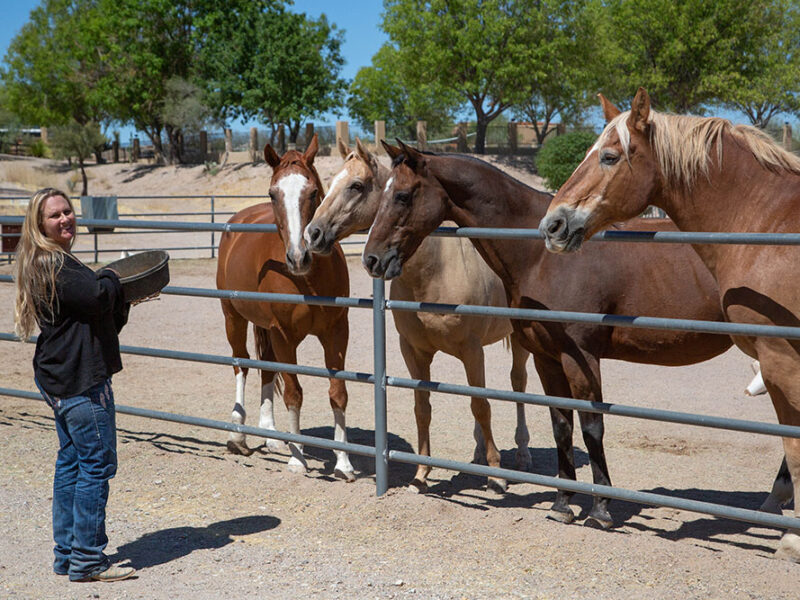 The Meadows Ranch