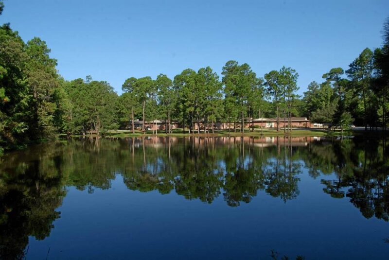 The Pines at Willingway