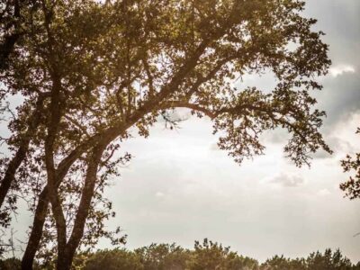 The Right Step Hill Country