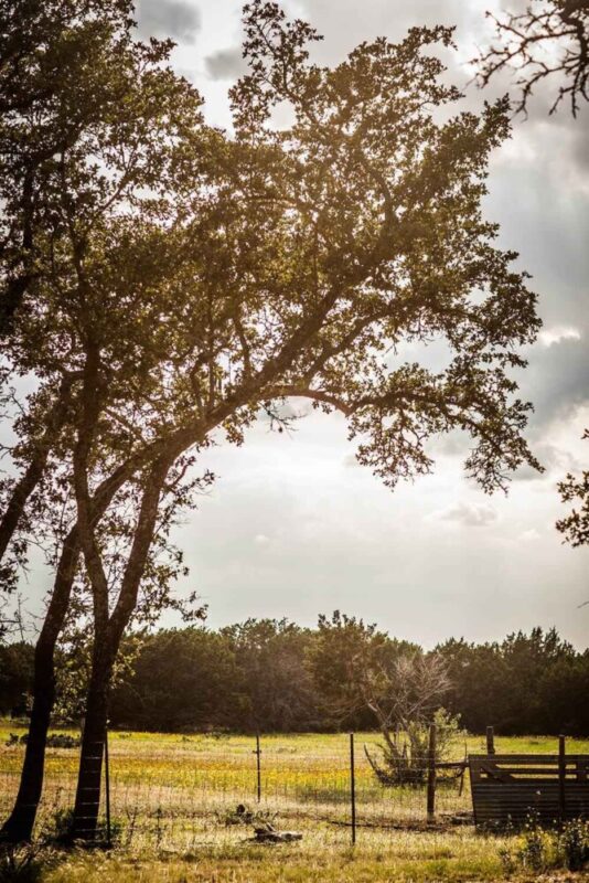 The Right Step Hill Country