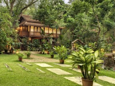 Treehouse Thailand