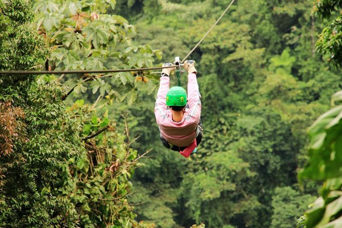 Treehouse Thailand