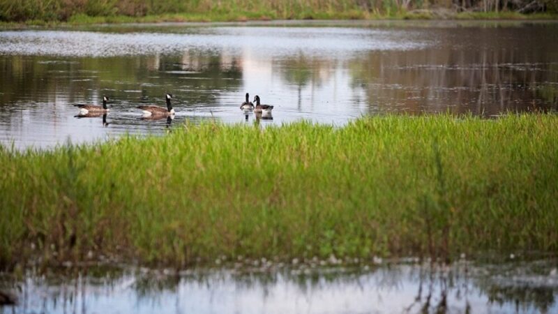 Turning Point Care Center