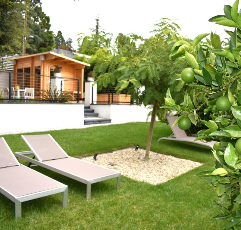 U Matter Holistic Detox Center