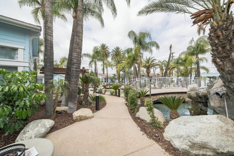 We Level Up California