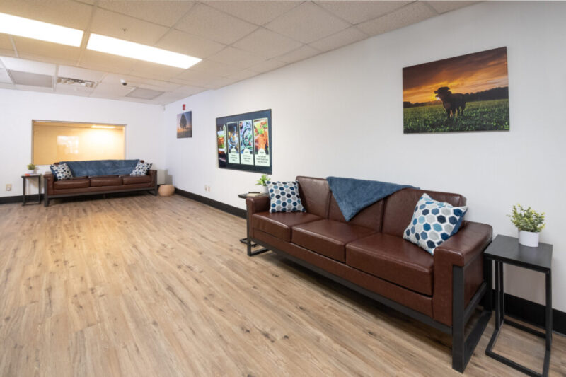 White Light Behavioral Health