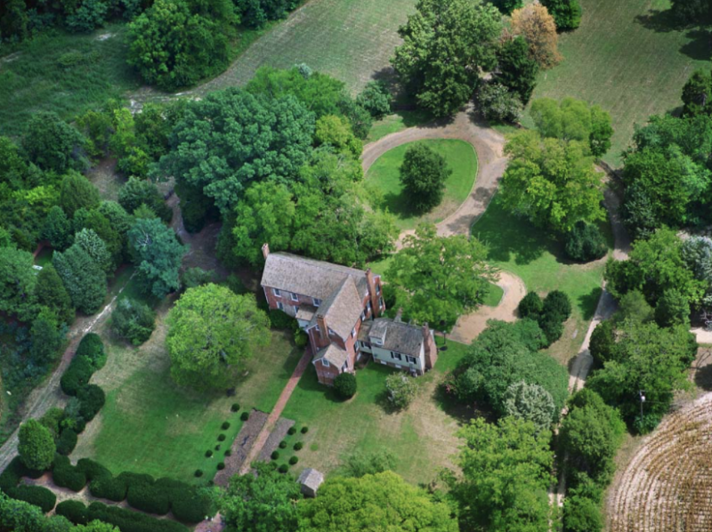 Williamsville Wellness