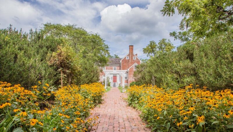 Williamsville Wellness