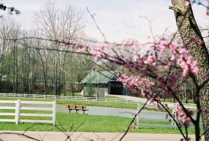 Wooded Glen Recovery Center