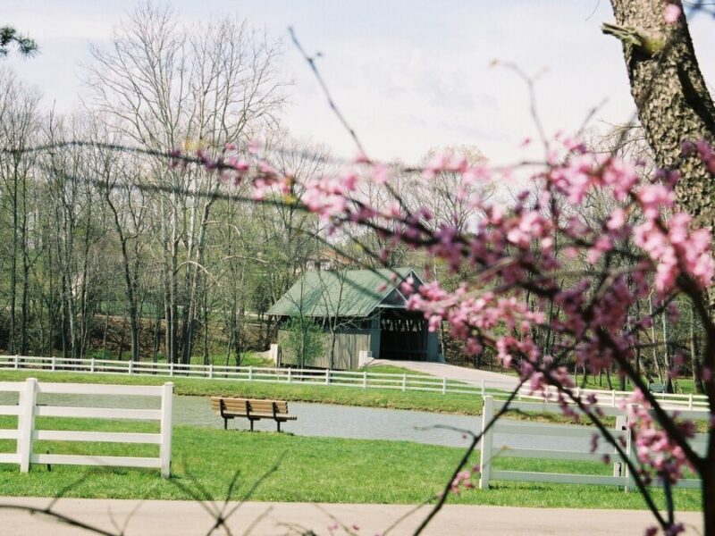 Wooded Glen Recovery Center