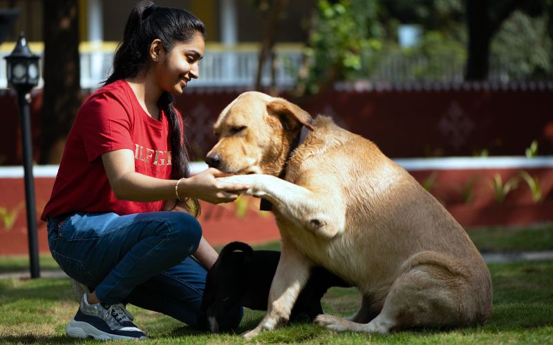 Abhasa Rehabilitation Center - Karjat