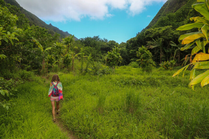‘Ai Pono Hawaii