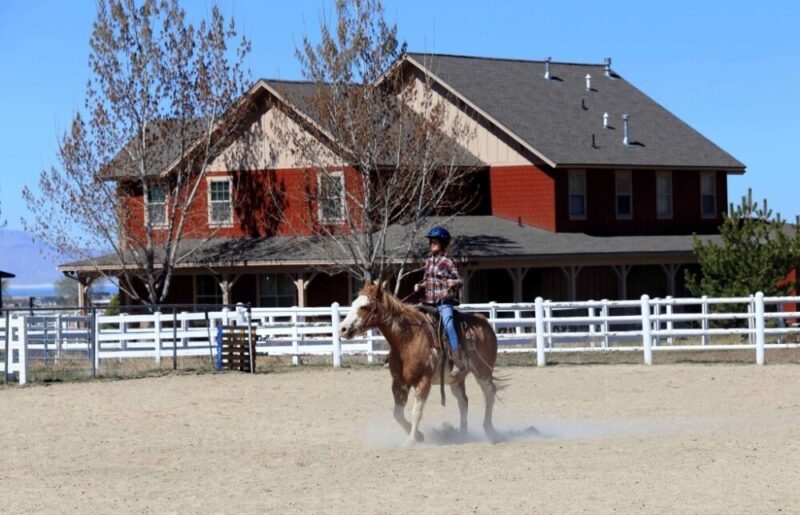 Alpine Academy - Mountain View