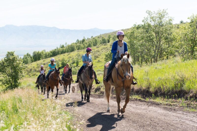 Avalon Hills Eating Disorder Center