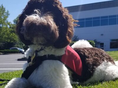 Hazelden Betty Ford Beaverton