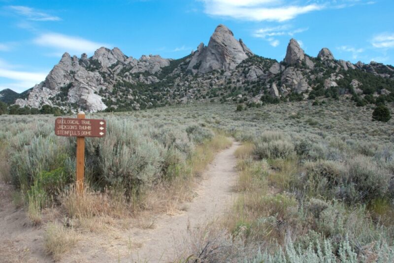 blueFire Wilderness