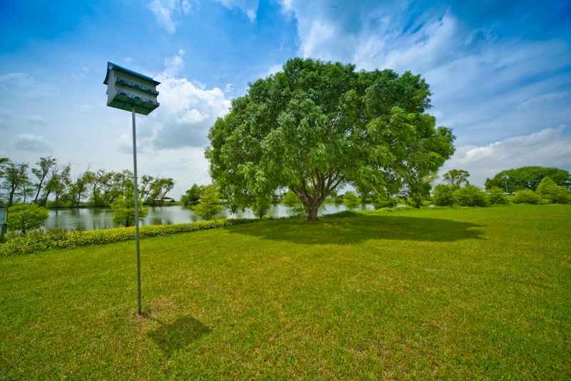 Burning Tree Ranch