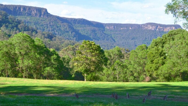 Cedarvale Health and Lifestyle Retreat