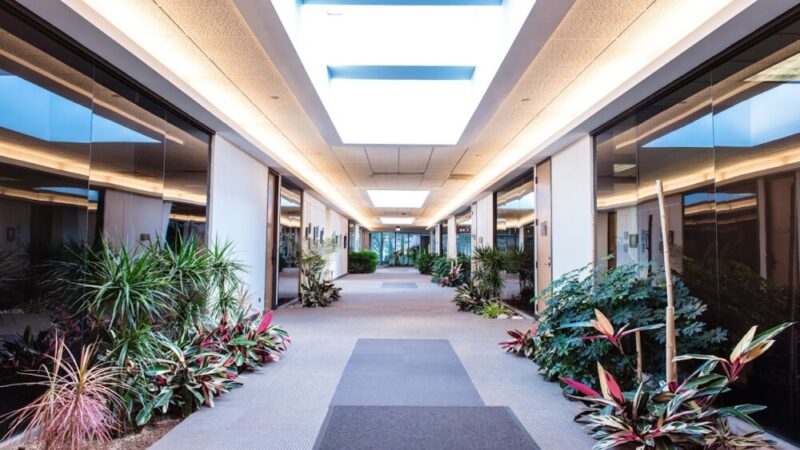 Clarity Clinic Arlington Heights