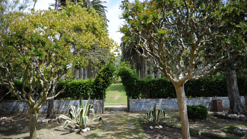 Dianova Addiction Recovery Centre