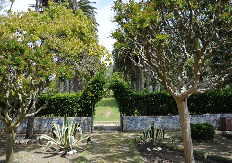 Dianova Addiction Recovery Centre