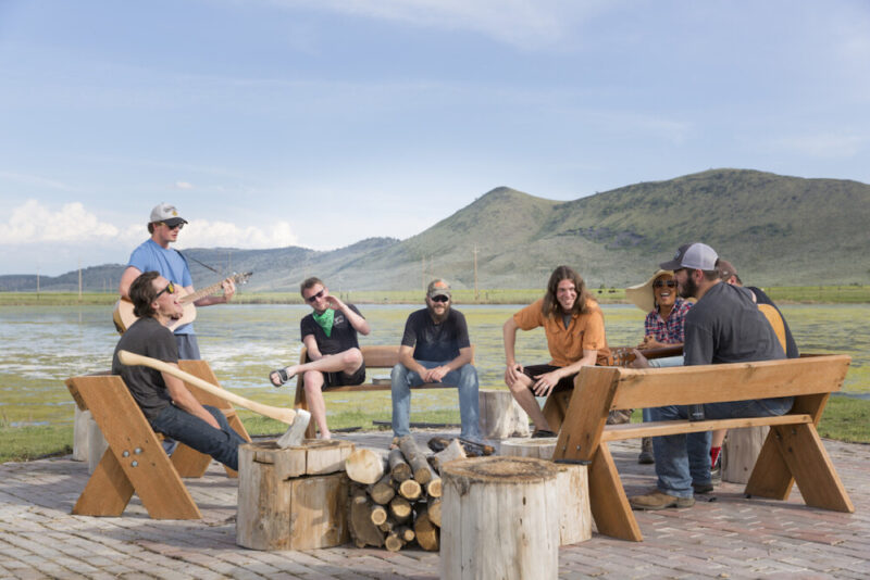 Dragonfly Transitions