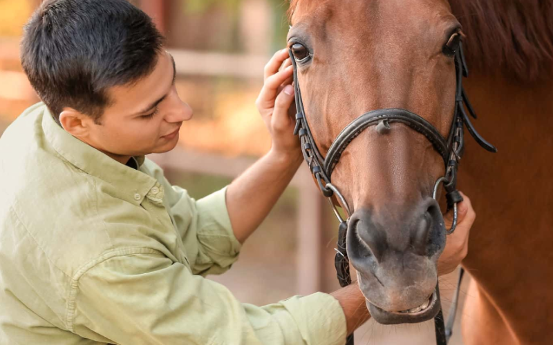 Eagle Creek Ranch Recovery for Men