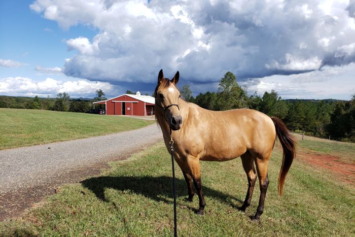 Foothills at Red Oak Recovery