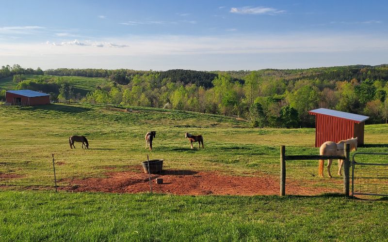 Foothills at Red Oak Recovery