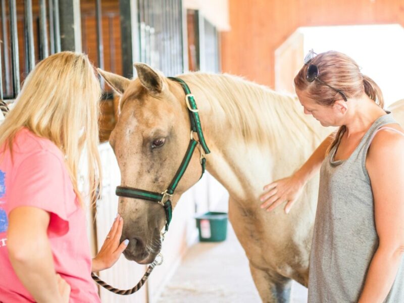 Honey Lake Clinic