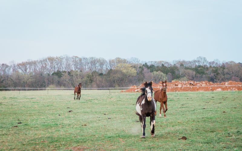 JourneyPure - Tennessee