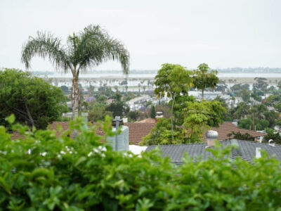 La Jolla Recovery