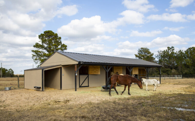 Mallard Lake Detox Center