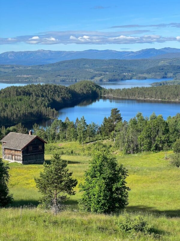 Mestringshusene Tysnes