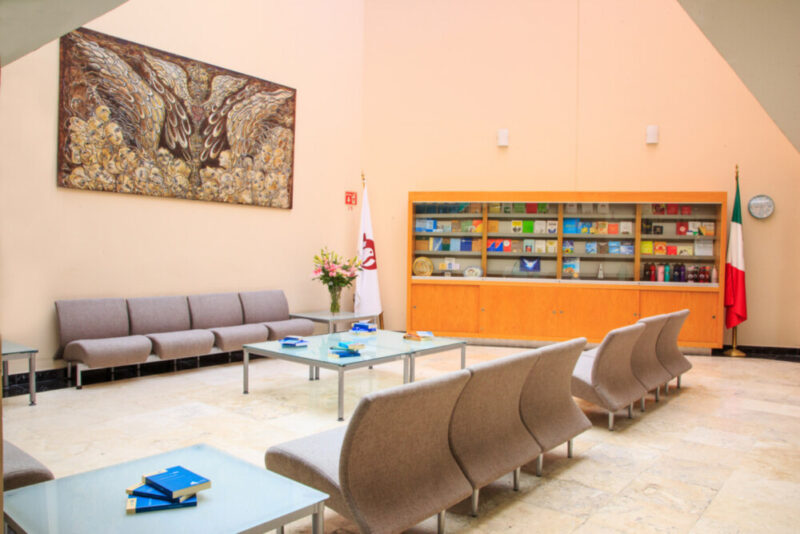 Monte Fenix - Spanish Delivered Treatment